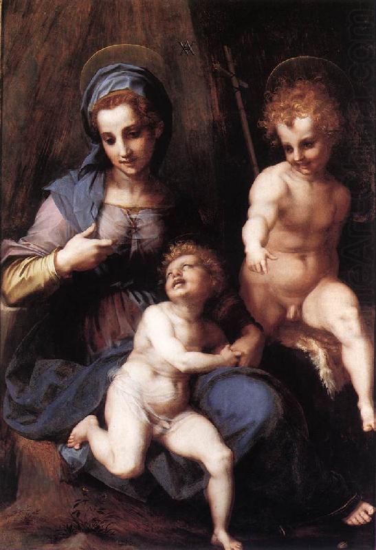 Andrea del Sarto Madonna and Child with the Young St John china oil painting image